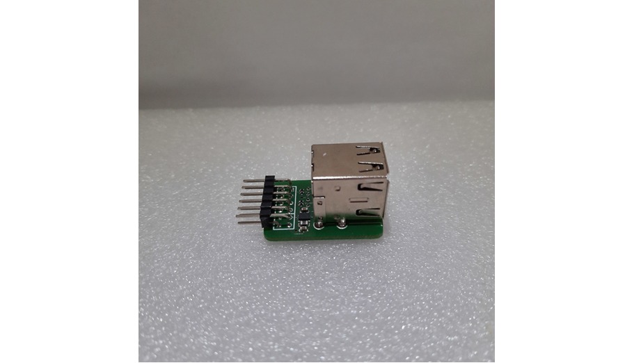 USB Host Dual Socket PMOD.